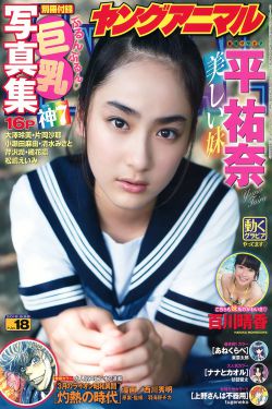 正版粉红淑女2